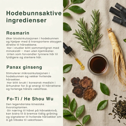 Koreansk ScalpRevive™ – Hår- & Hodebunnsbar